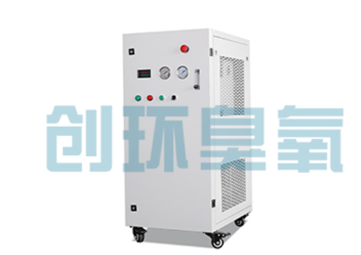山海关石斑鱼养殖水质调控完整指南：臭氧发生器配置与操作步骤