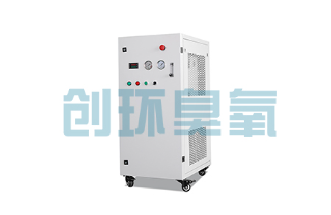 山海关比传统换水更高效？臭氧发生器在石斑鱼养殖中的水质净化原理解析