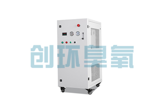山海关比传统换水更高效？臭氧发生器在石斑鱼养殖中的水质净化原理解析